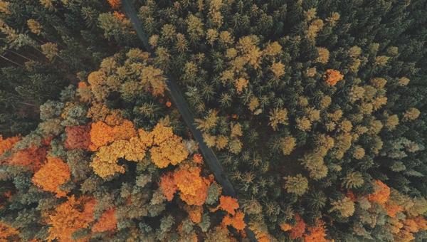 Cloud Computing with AWS - Architect & DevOps